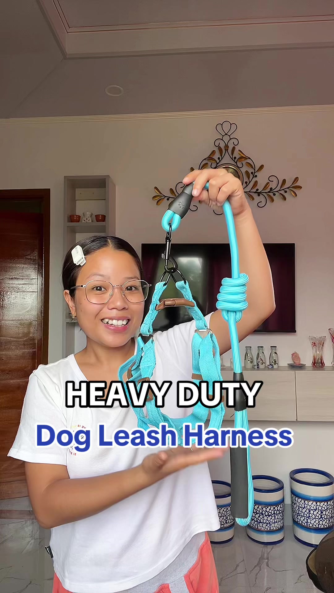 Replying to @GLENNTV Heavy Duty Dog Leash Harness  #jessbustaleña #dogharness #dogharnessandleash #harnessfordogs #harnessfordog #petleashandharness #petharness #petharnesswithleash #petleash #leashtraining #leash 