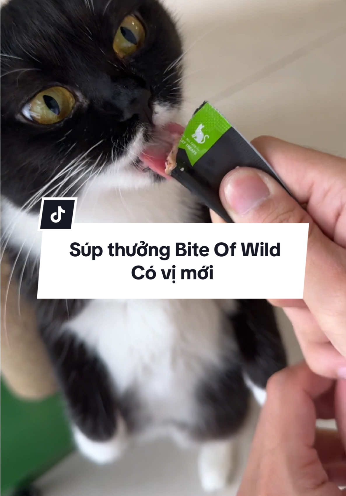 Sen nào đang tìm súp thưởng xịn chất lượng thì tham khảo loại này nhen  #supthuongchomeo #nuoimeo #thucanchomeo #cats #giadinhmeo #biteofwild 