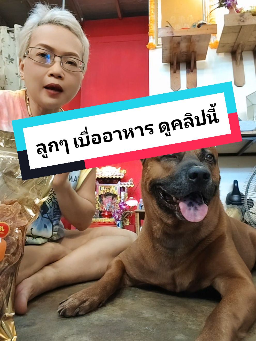 #เปิดการมองเห็น ลูกบ้านไหนเบื่ออาหาร แนะนำค่ะ #ต้าวชา  #เฮียชาหมาดื้อ #หมาไทยหลังอาน #สันในไก่อบแห้ง #ขนมสุนัข #น้องหมาชอบ #น้องแมวชอบมาก #สินค้าขายดี  @เฮียชา หมาดื้อ  @เฮียชา หมาดื้อ  @เฮียชา หมาดื้อ 