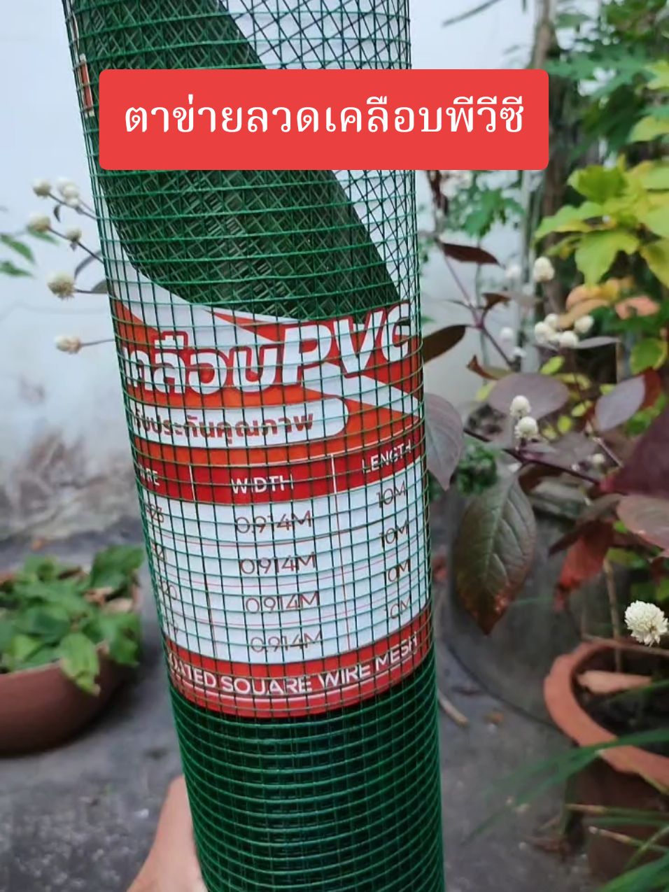 ตาข่ายลวดเคลือบพีวีซี กันสนิม#ตาข่าย #ตาข่ายลวด #ตาข่ายลวดชุบกันสนิม #ตาข่ายลวดชุบพีวีซี #ตาข่ายลวดเคลือบpvc #ตาข่ายกรงนกกรงไก่ 
