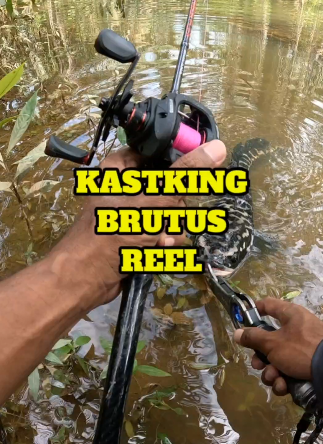 Casting toman guna reel  KastKing Brutus #toman #ikantoman #fishing #kingcurutz #teamcurutz @kastking.my 