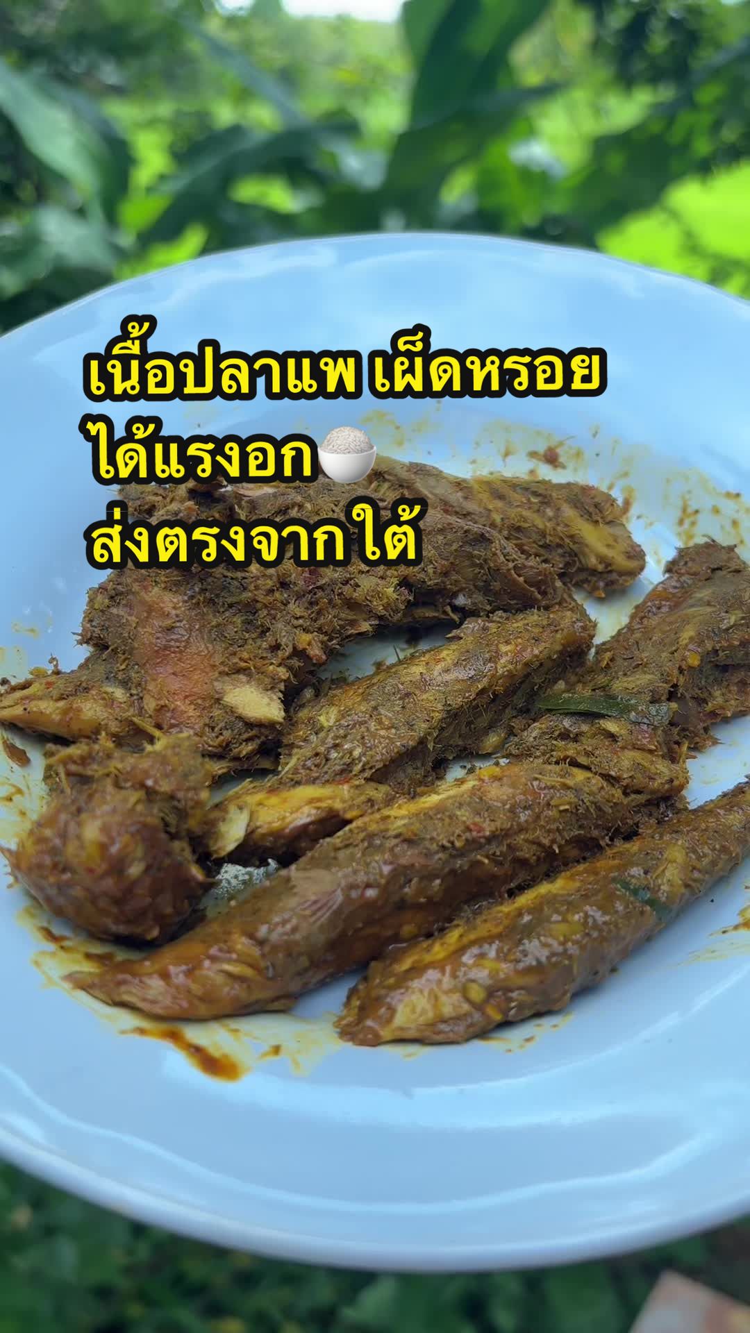 ไตปลาแห้งครัวสองเฒ่า เผ็ดหรอจได้แรงอกใต้แท้ ควิน#ไตปลาแห้งครัวสองเฒ่า👵 #ไตปลาแห้ง #กดสั่งในตะกร้าได้เลยจ้า❤️🧺 #อร่อย #ของแซ่บ #ได้แรงอก #กินข้าวกัน #อร่อยบอกต่อ  @Momayshop189 