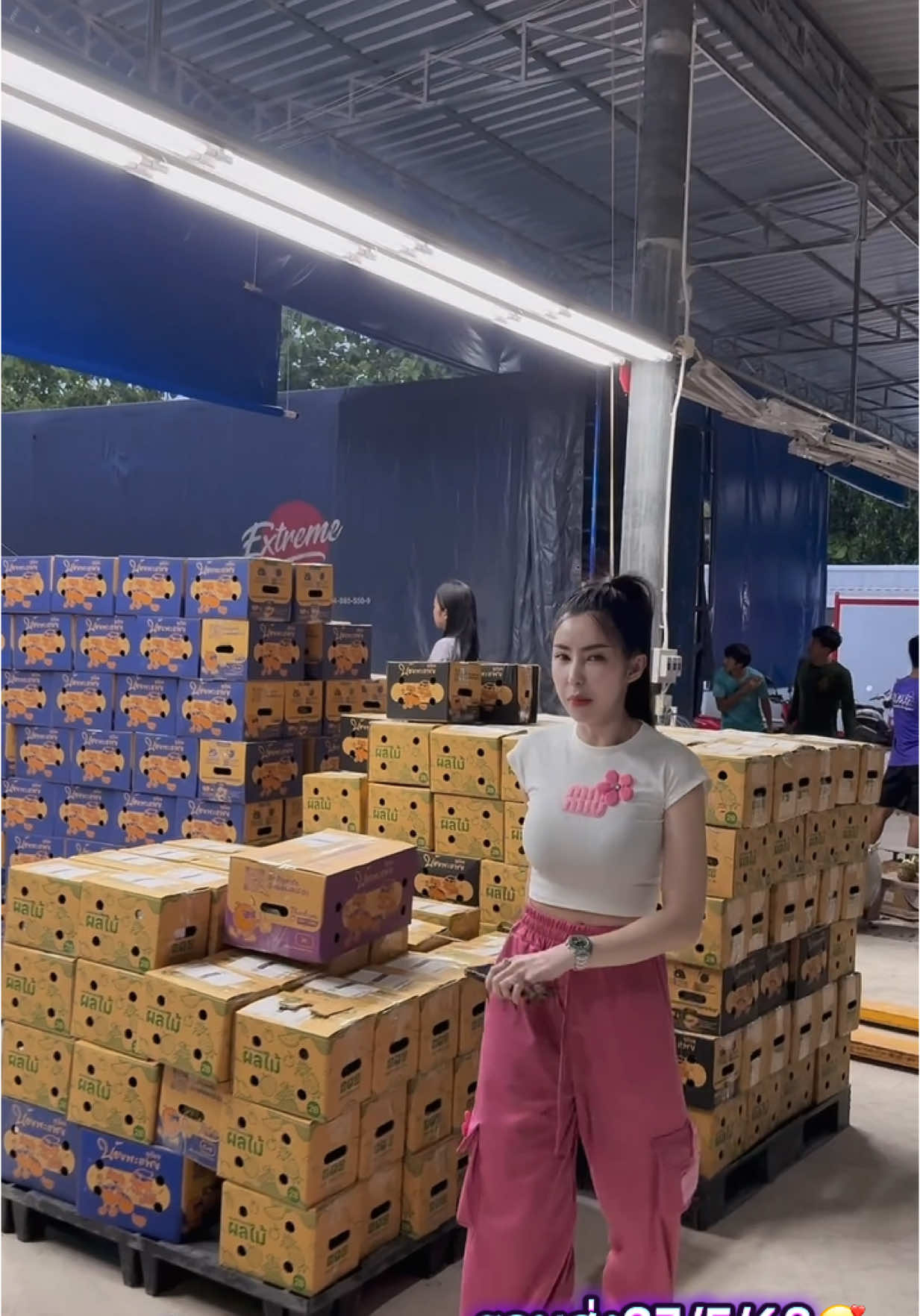 #ทุเรียนน้องพะแพง #ทุเรียนบังนก 