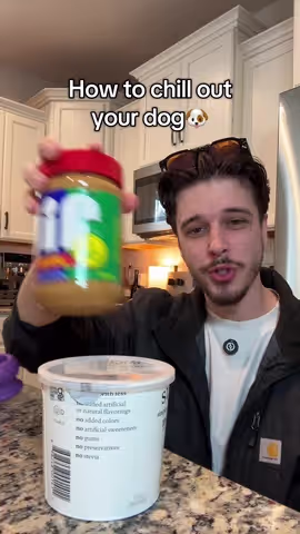 best enrichment toy I’ve tried yet! #dogenrichment #enrichmentfordogs #dogmom #dogenrichmenttoy #freezbone