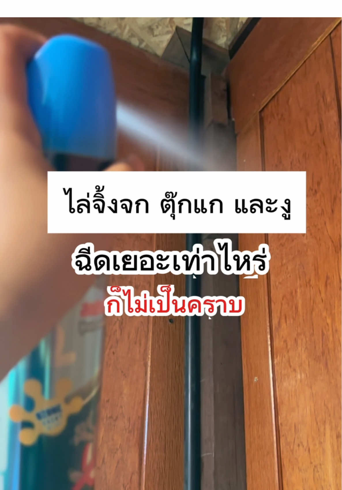 #วิธีกำจัดจิ้งจกในบ้าน #ไล่จิ้งจก #สเปรย์ไล่จิ้งจก #วิธีไล่จิ้งจก #วิธีไล่ตุ๊กแก #ไล่ตุ๊กแก #จิ้งจก #ตุ๊กแก #ถูกใจมง #ของมันต้องมี #ใช้ดีบอกต่อ   @ถูกใจมง แม่บ้านสายช็อป  @ถูกใจมง แม่บ้านสายช็อป  @ถูกใจมง แม่บ้านสายช็อป 
