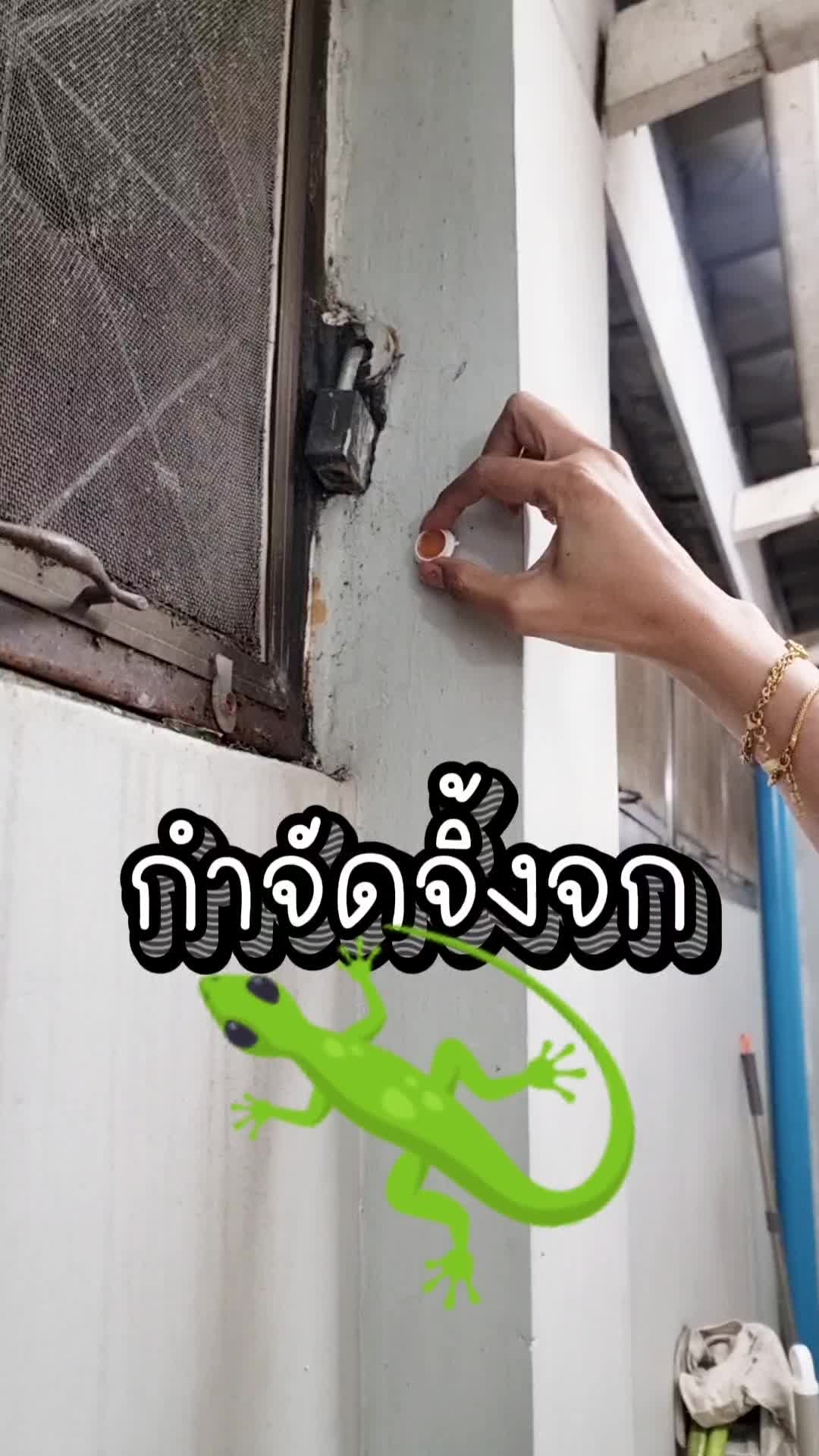 บ้านใครมีจิ้งจกขี้เรี่ยราด จัดการไม่หมดซักที แนะนำตัวนี้เลย เหยื่อจิ้งจก กินแล้ววิ่งไปตุยนอกบ้าน #กําจัดจิ้งจ้กตุ๊กแก #จิ้งจก #ตุ๊กแก #ขี้จิ้งจก #ของใช้ในบ้าน 