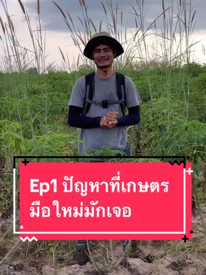 ปัญหาที่เกษตรกรมือใหม่มักเจอ และจะแก้ไขอย่างไรดี #ชาวไร่มันสําปะหลัง💪🏻 #เกษตรกร #วัยรุ่นสร้างตัว #ความรู้ #ชาวนา #tiktokindia #tiktok #คนอีสาน 