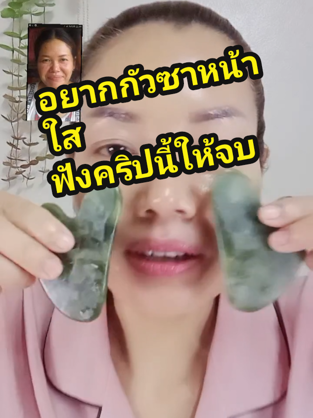 #ป้าตาลเจลว่านหางจระเข้  #กัวซา 