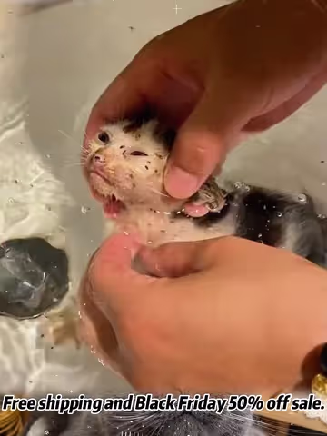 #blackfriday #blacktiktok #blackfridaydeals #blackfridaysale #earlyblackfridaydeals #TikTokShopBlackFriday #TikTokShopHolidayHaul