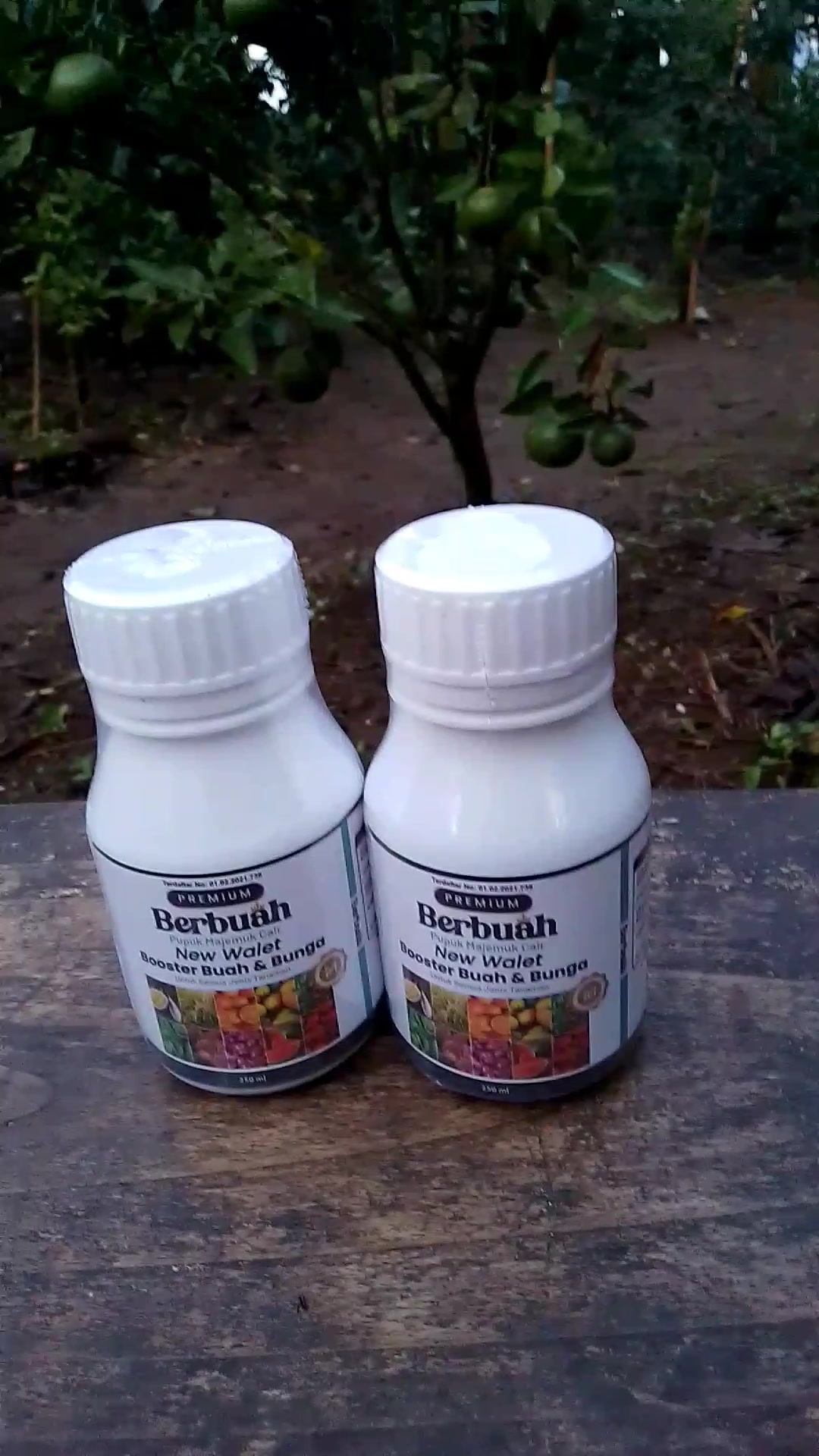 tips agar tanaman berbuah lebat dan sehat dengan pupuk majemuk cair BERBUAH #guncang66spesialgajian  #pupukberbuah 