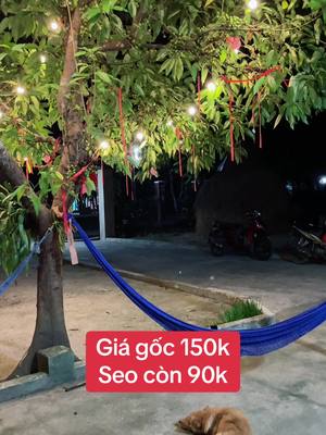 Trả lời @thanhha2021 Bỏ ra mấy chục cành mà trang trí đẹp lắm, nhìn chill quá 🥰  #giahanriview #xuhuong #xuhuongtiktok #viral #denled #dentrangtri  @giahanriview  @giahanriview  @giahanriview 