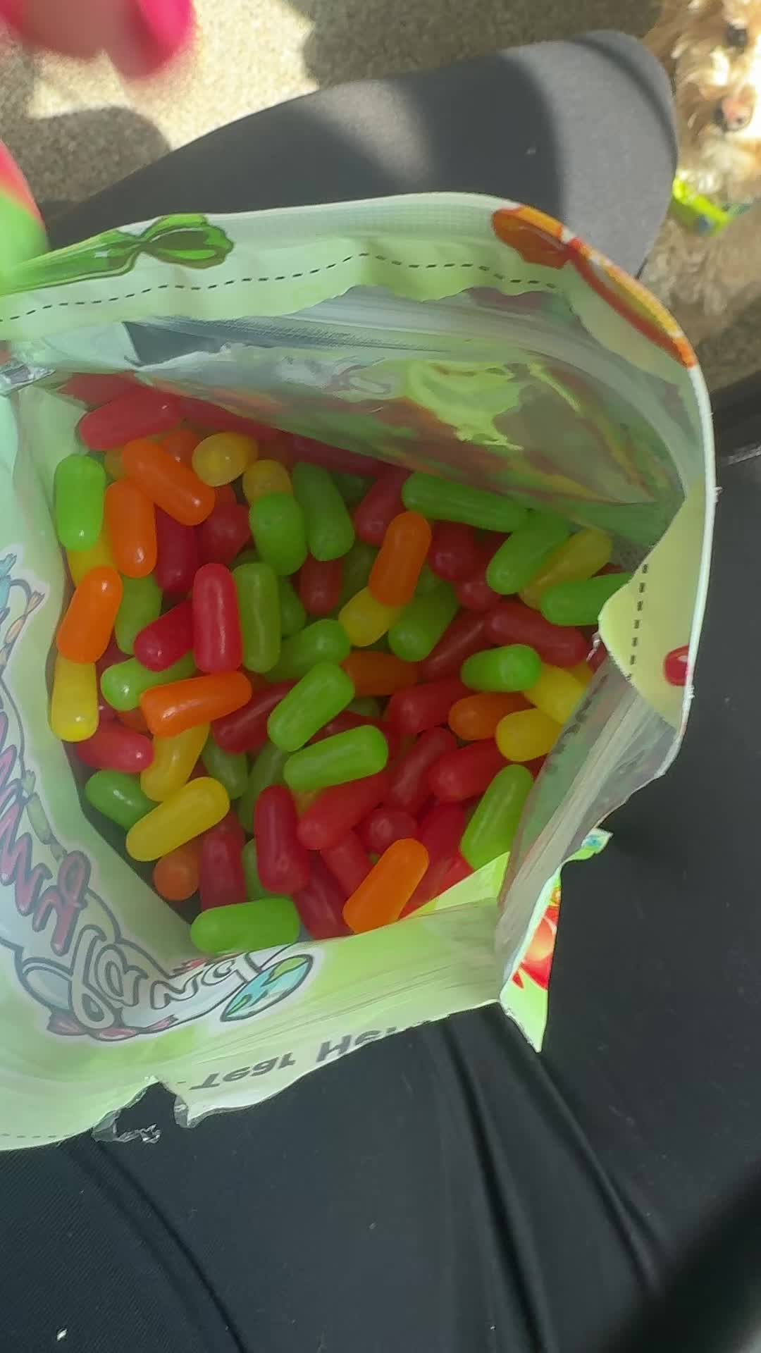 Mike and ikes are so delicious that I needed a big bag 😭😍 • • • #candy #mikeandikes #TikTokShop #summer #sprinktok #spring #Tiktokshopspringglowup #tiktokshopcreatorpicks #SuperBrandClub 