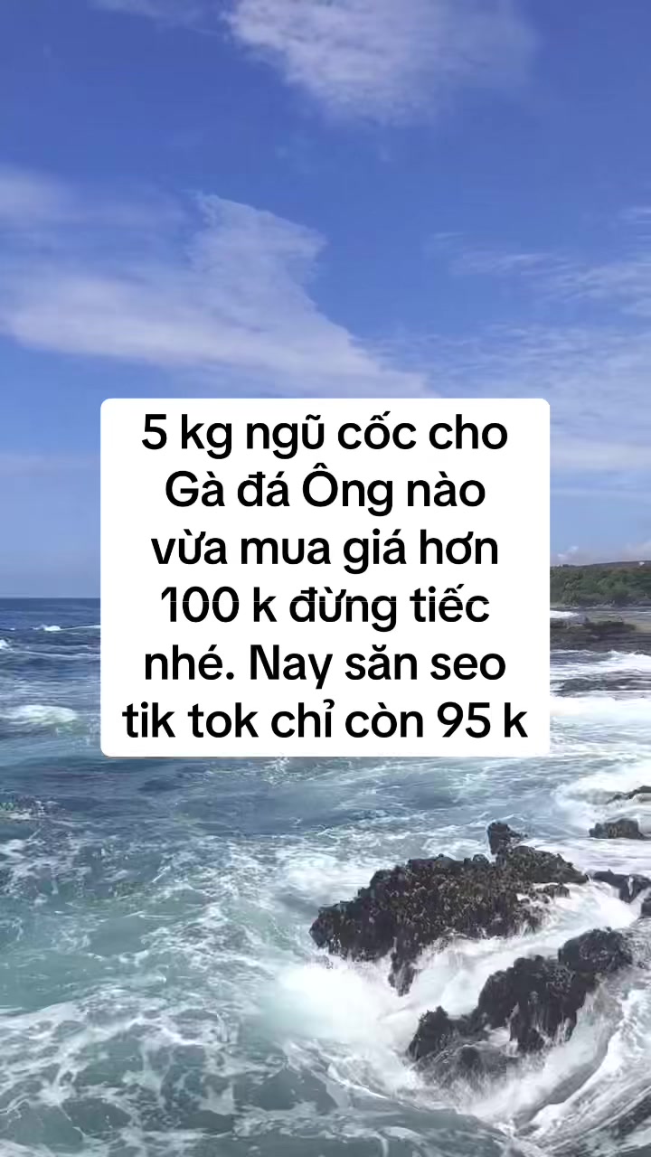 Ngũ cốc hỗn hợp truyền thống dùng cho gà ăn hàng ngày #ngucocchogada #ngucocchoga #thucanchoga #gatroivietnam #gadavietnam 