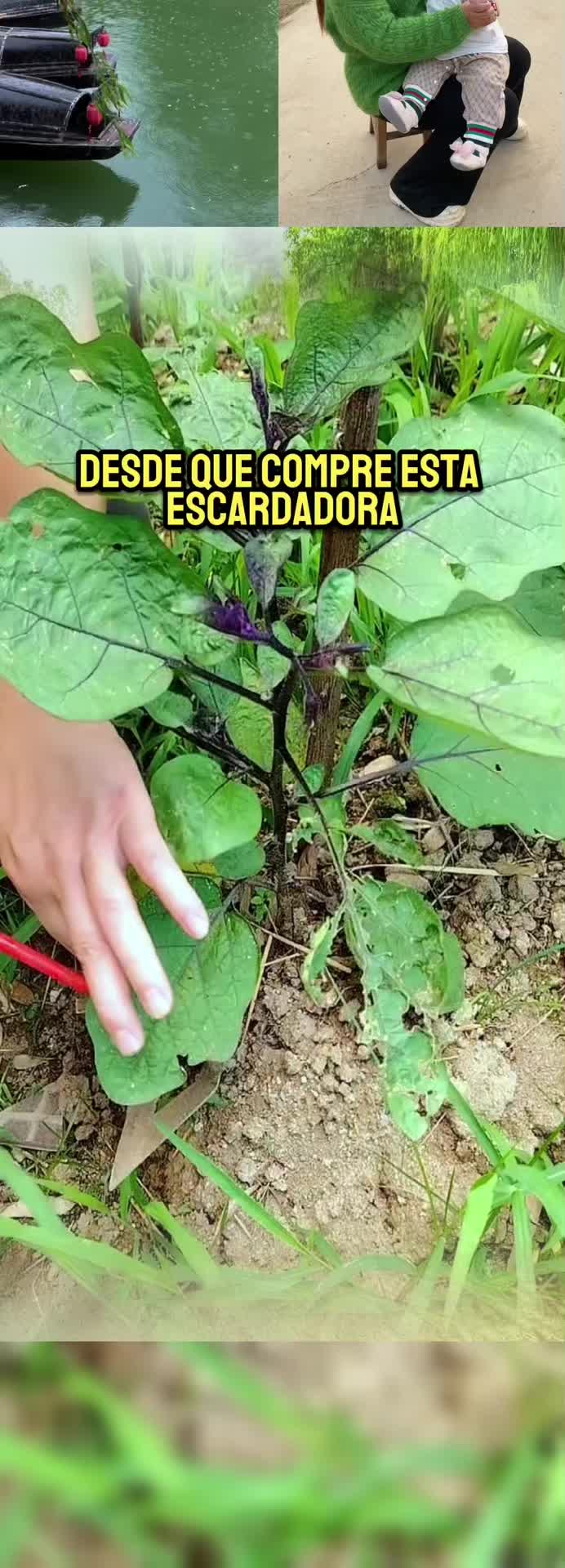 🌱¡No te agaches más! Nuestro innovador deshierbador te permite trabajar de pie con comodidad 🔥 #GardeningToolUpgrade #BackFriendlyGardening #YardWork #TrendingProducts