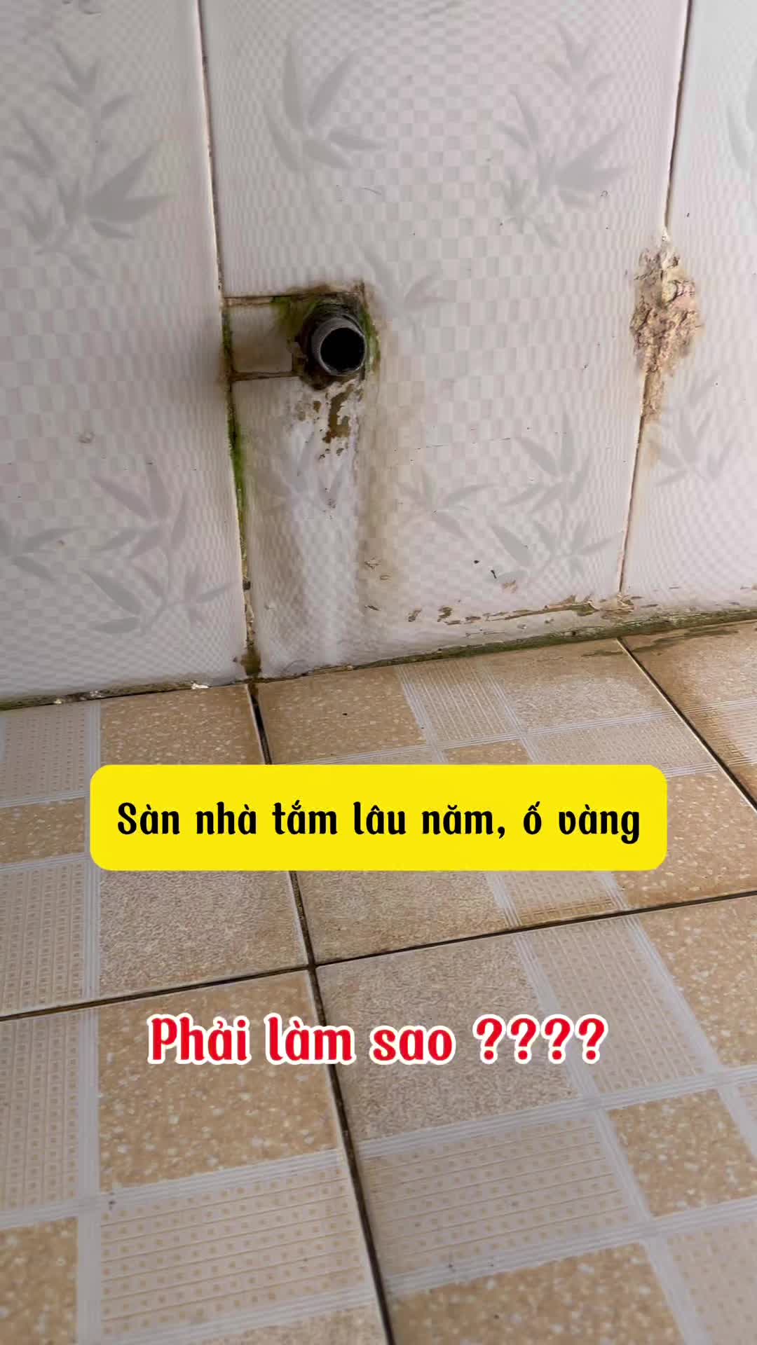 Nhà bác nào gặp tình trạng này không? #bongday #nhabong #thibong2019 #flashman #nuoctayboncau