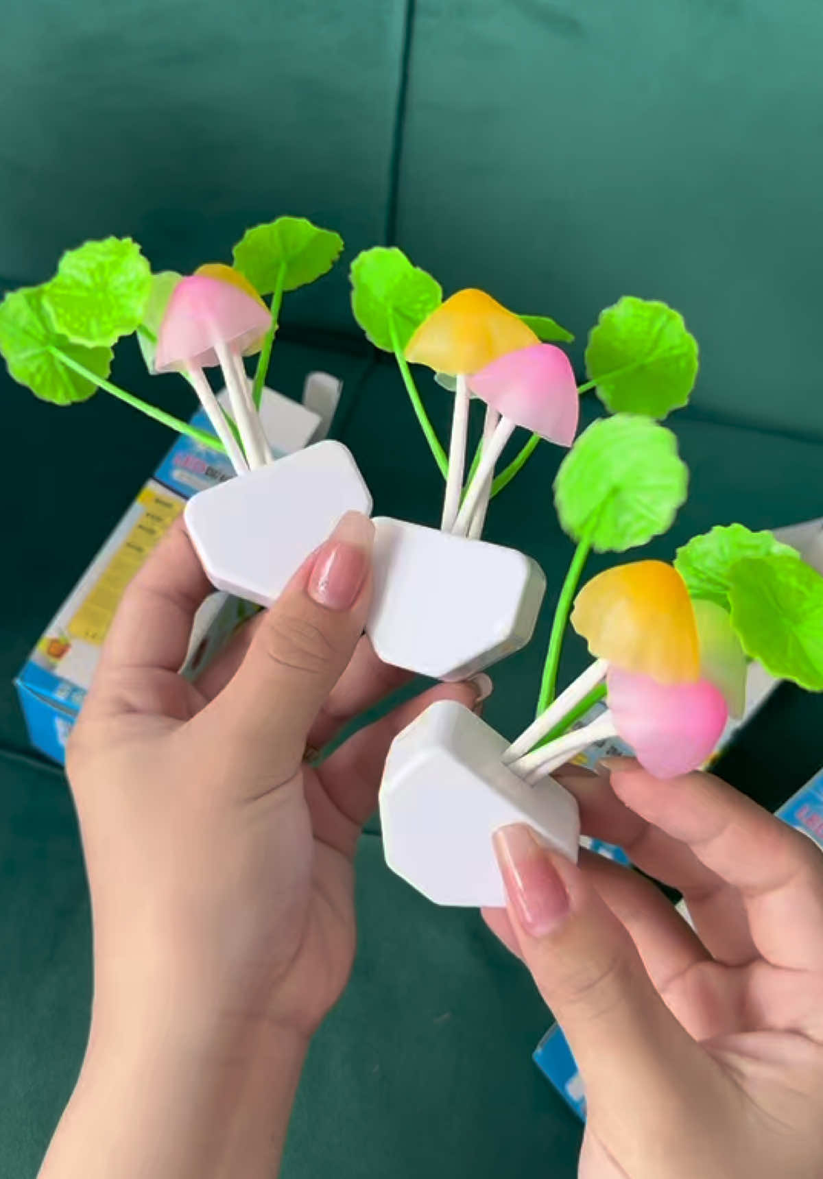 Combo 3 cái Đèn ngủ cảm ứng hình nắm chỉ 49k miễn ship##emkieutaphoa##denngu##denngucambien##denngucambienthongminh##dennguhinhnam##denngucambienhinhnam