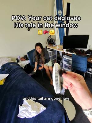 This literally happened while I was filming another video! 🫠 @POVINWIFE had to cancel her dentist appointment 😆 #pov #deglovedtail #cats #vet 
