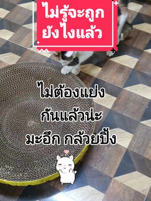 จัดมาเพิ่มแล้ว ไม่ต้องแย่งกันอีกนะ #ของเล่นแมว #animals #animalsoftiktok #สัตว์โลกน่ารัก #สัตว์เลี้ยงtiktok #แมวน่ารัก #ทาสแมว 