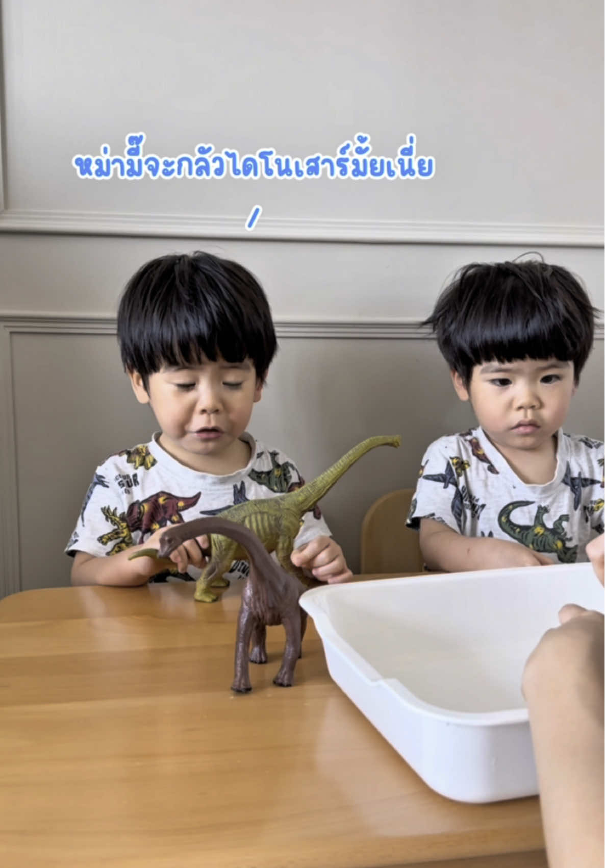 น้องแฝดเริ่มจำชื่อไดโนเสาร์ได้แล้ว 😊 #ฝาแฝดนีลไนล์ #บ้านฉัน #นีลไนล์2y5m #ไดโนเสาร์ #ไข่ไดโนเสาร์ #ของเล่นไดโนเสาร์ 