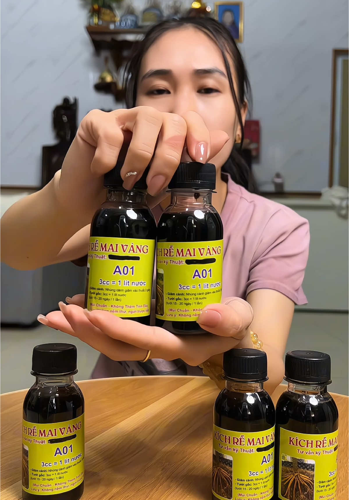 Combo 2 kích rễ mai vàng A01 đang dc khuyến mãi #kichre #kichremaivang #kichremaivanga01 #kichrea01 #caycanh #phanbonla #bonsai #xuhuongtiktok #nhung1m45 