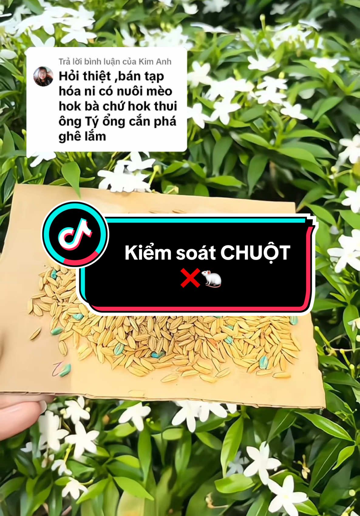 Trả lời @Kim Anh Cách để tiệm tạp không còn chuột🐁