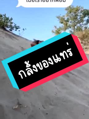เมื่อคุณกำลังอยากออกกำลังกาย เรามีวิธีง่ายๆมาเสนอ #ขายขํา #ตลกฮาๆ #ลูกกลิ้ง #ออกกําลังกาย #ยินดีนําเสนอ #อยากผอมต้องดู #ลดน้ําหนัก #flypシ #เปิดการมองเห็น