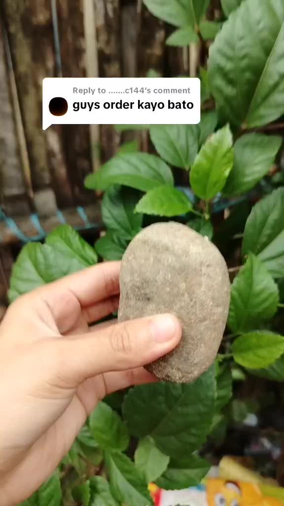 Replying to @.......c144 Order na bato pang hilod☺️ #viralvideo #tiktokfinds #fyppppp #fyppppp #fypyou #makethisviral #stonescrubber #tiktokfind 