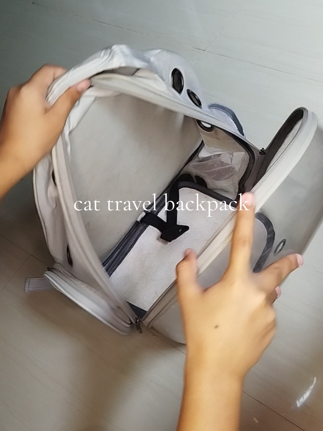 cat travel backpack for furparents #furparents #backpack #cat #catbackpack #cats #travelbackpack #catcarrier #carrier #petcarrier #kittencarrier #catbag #petbag 