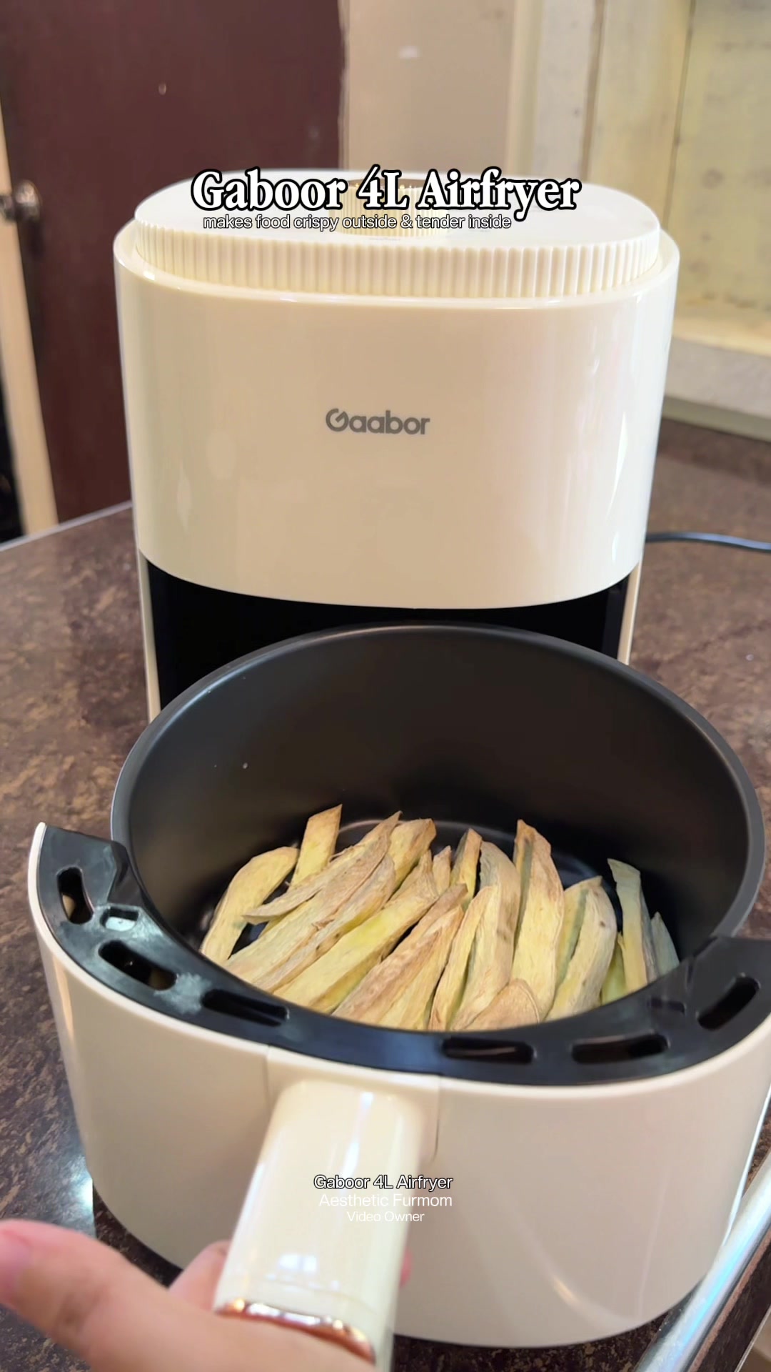 GABOOR 4L AIRFRYER 🫶 makes food crispy outside & tender inside #gaabortiktok #gaabor4lairfryer #gaaborph 