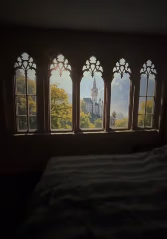I wanted to test those fake window videos I’m seeing all of TikTok with this projector. #projector #fakewindow #portableprojector #darkfantasy #fantasy