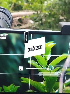 hasil Bokeh dari lensa 36xzoom #fyp #tiktokaffiliate #apexel18xzoom