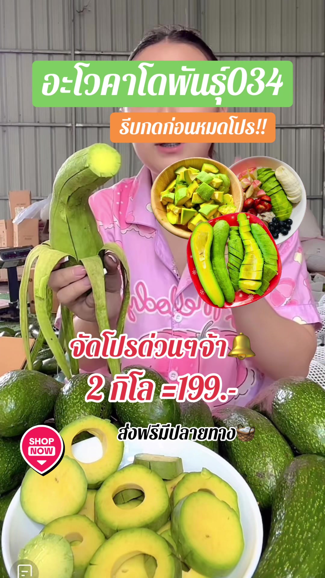 #อะโวคาโด #อโวคาโด034 #อะโวคาโดบูท7 #โสรยา #โสรยาอะโวคาโดเมืองตาก #โสรยาอโวคาโด 