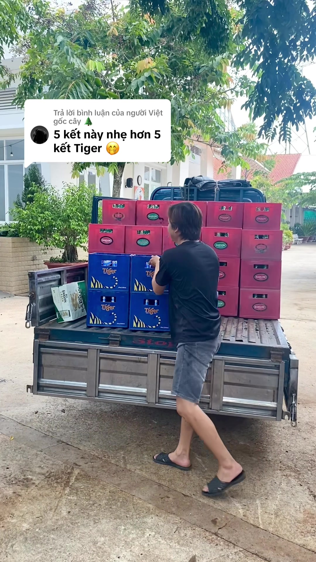 Trả lời @người Việt gốc cây 🌲 #xuhuong #trending #viralvideo #muusinh #fyp 