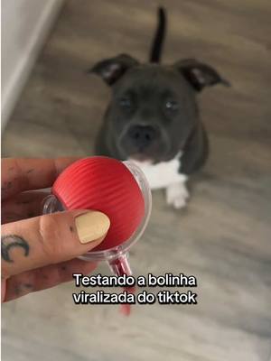 Meus pets amaram, perfeita para gastar energia 🥰 Comprei pela loja @LCQ SHOPE, chegou rapido e veio bem embalada ✨  Deixei o link para compra no video 🤎 #bolinha #cachorrosdotiktok #pitbulls  #petsoftiktok #brinquedos #brinquedopet