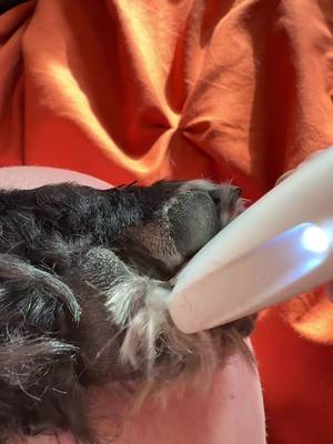 @the best pleasure shop LOVE the size of this thing! #petlovers #hairypaws #petgrooming 