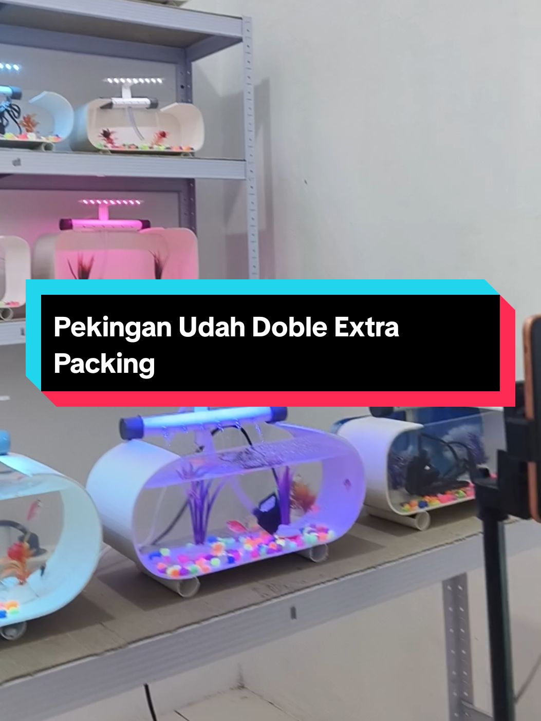 Peckingan Aman Udah Extra Double Packing, Pake kayu, baberwarp, dan juga dus tebal guyss..  #akuarium #aquarium #aquarimini #aquariumfish #akuariumfullset 