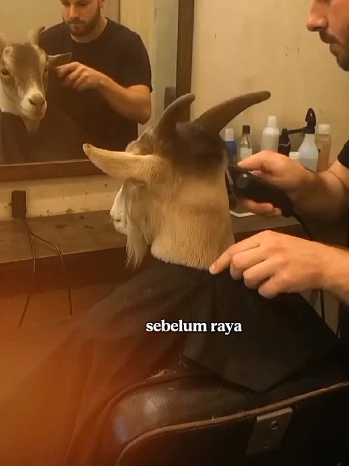 hensem betul...last2 ke periuk jd gulai🤣🤣🤣 Hensem2 nak jadi binatang tunggangan ahli syurga ke syurga nanti masyaAllah 😍