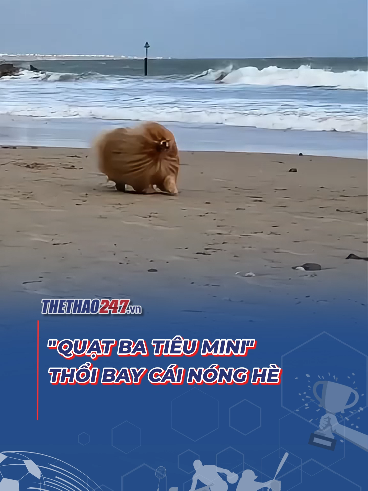 GOOJODOQ quạt 3 trong 1 – mang đi đâu cũng mát 🥵🥵🥵 #goojodoq #review #quatmini #quattichdien #tiktokshop #thethao247