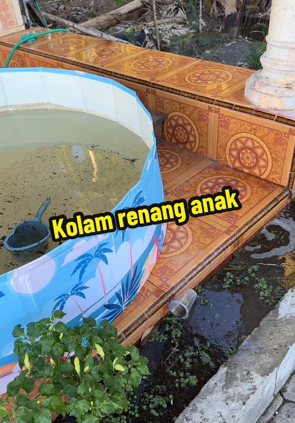 Kolam renang anak