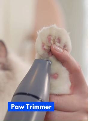 Pet hair on the couch? On the carpet? On your clothes? This FlexiSpot N3 vacuum eats it all. Fast. Easy. No drama. 🧼🐶🐱 #flexispot #DogMomLife #catmomlife #PetVacuum #HomeWithPets #PetCareEssentials #VacuumClean #CleaningHack #CleanWithMe #HomeHack #VacuumReview #CatLife #TikTokFinds