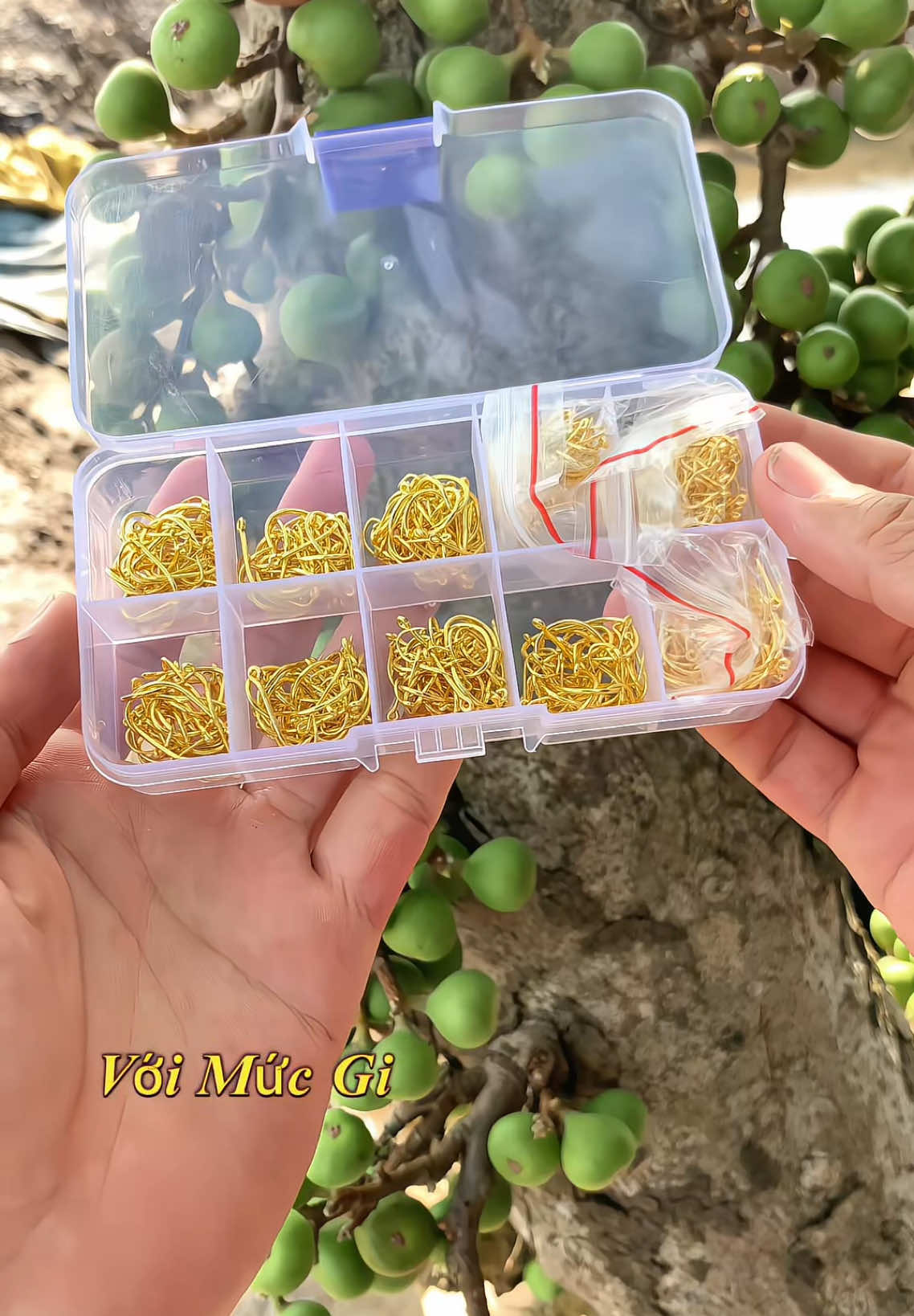 Lưỡi câu cá 500 chiếc #docaucagiaitri 
