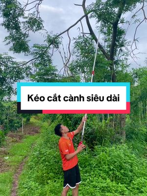 Kéo cắt cây cành trên cao chiều dài lên tới 4m #keocatcanhcay #keocatcanhcaytrencao #keocatcanh #xuhuong #hiepchuandet 