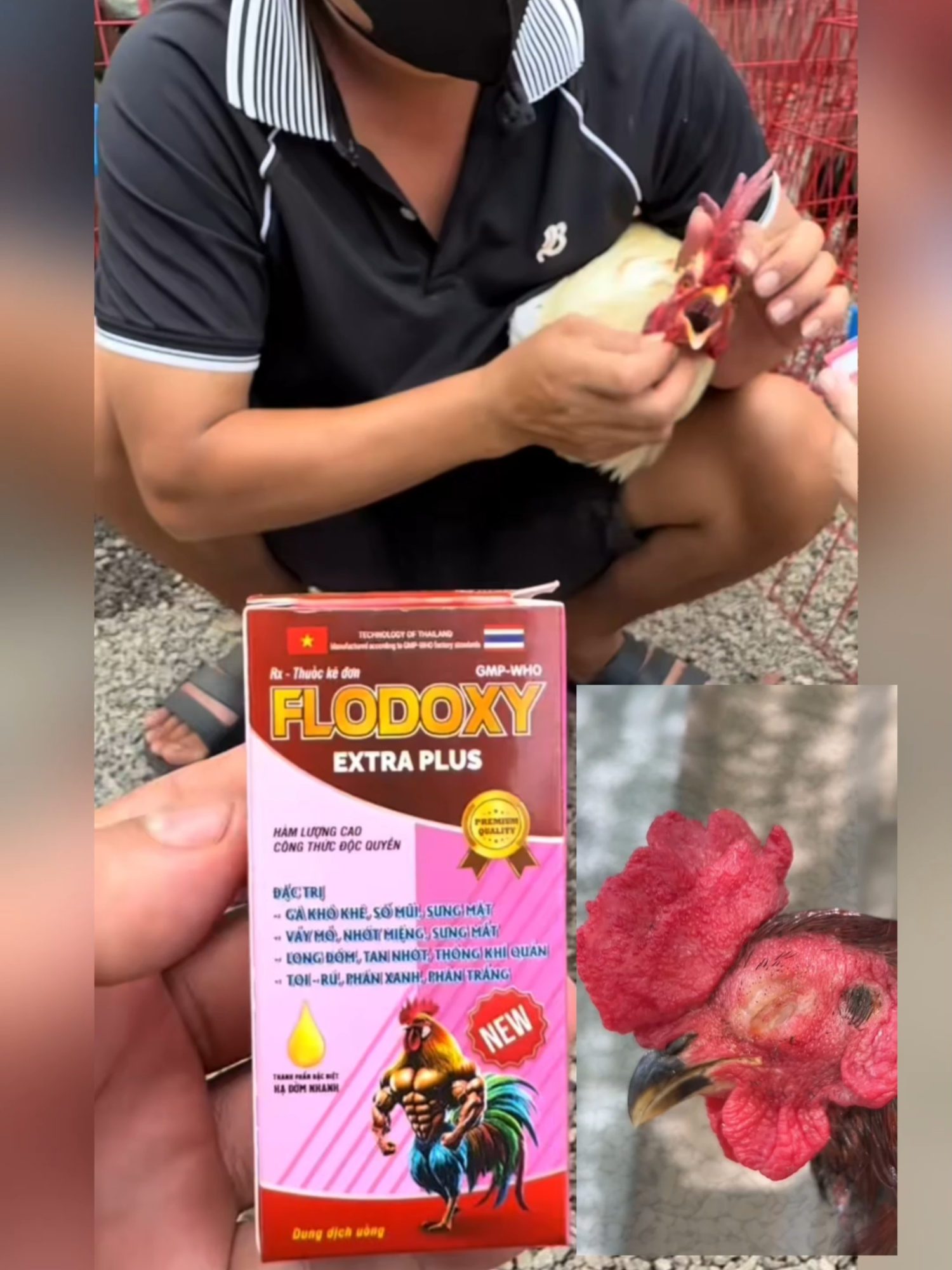 KHÒ KHÈ,HEN KHẸC,SƯNG MẶT,SƯNG PHÙ ĐẦU,HẠ ĐỜM NHANH NEW FLODOXY SẼ ĐÁP ỨNG ĐƯỢC NHU CẦU NÀY NHA AE #shopgadabinhdan #ga #xuhuong #thuocthuy
