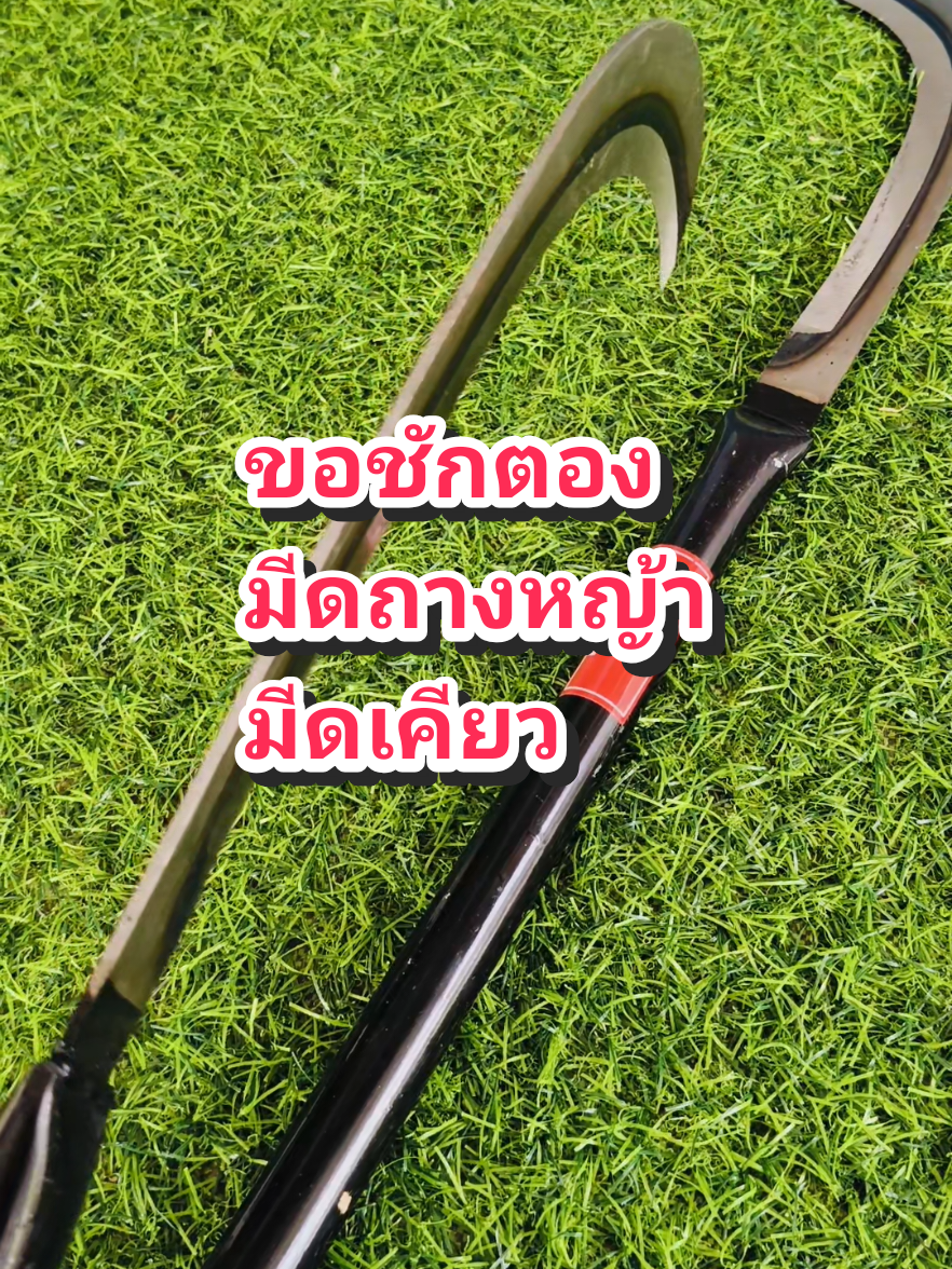 ตราเพชร ขอชักตอง ถางหญ้า มีดเคียวเหล็กแมงกานีส #สินค้าคุณภาพดี #กดตะกร้าเพื่อสั่งซื้อ #เคียวเหล็กแมงกานีส #มีดเคียว #ขอชักตอง #เคียวถางหญ้า 