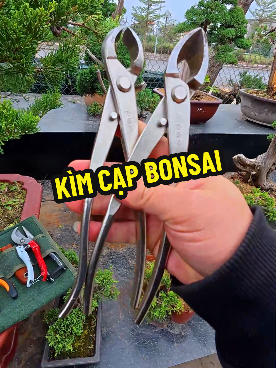 Sử dụng kìm cạp tròn, hoặc cạp xéo trobg tạo tác cây cảnh bonsai, tặng kèm kéo cắt hoặc kéo tỉa #bonsaishop #dungcubonsai #dungcucaycanh 