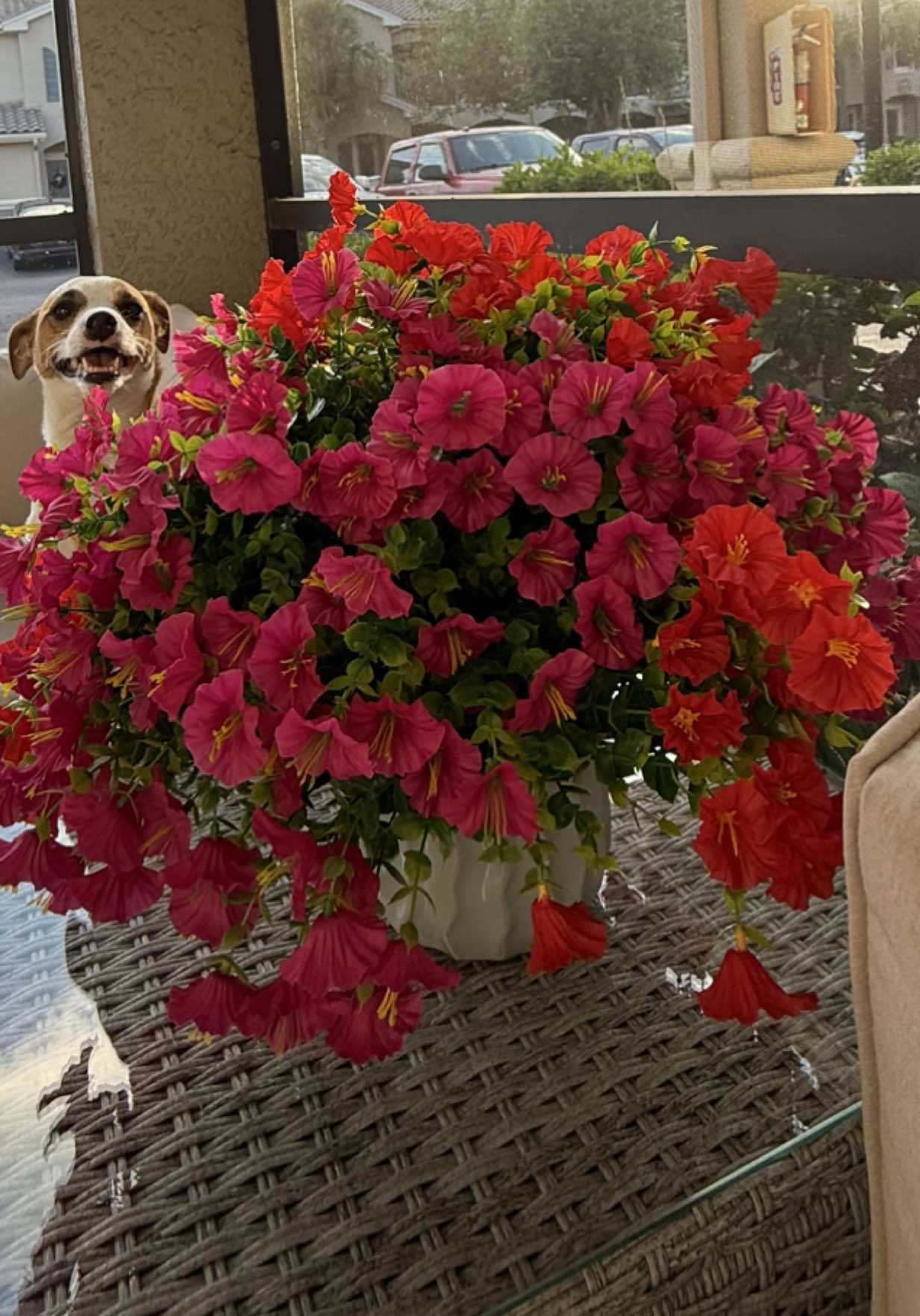 No reason to not have beautiful flowers around now!! Such a great alternative for spring and summer heat!! I love knowing I can leave for vaycay at any moment and not need to make sure someone comes over to water my flowers everyday!!🙌🏼 #🌺🌺🌹🌹🌸🌸🌻🌻💐💐💮💮🌺🌺 #sale 