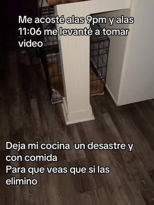 #cucarachas #🪳 #roaches #tiktokshop #infestation #fypシ゚viral 