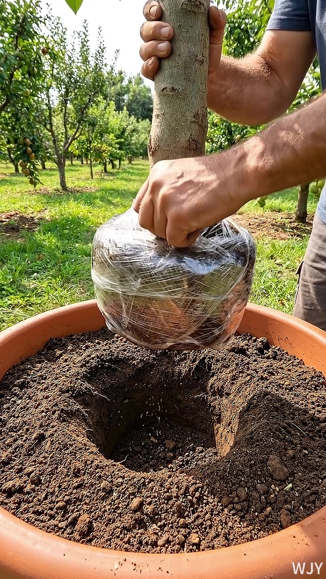 #tiktokshop#tiktokshopfinds#tiktokshopholidayhaul#tiktokmademebuyit#fyp