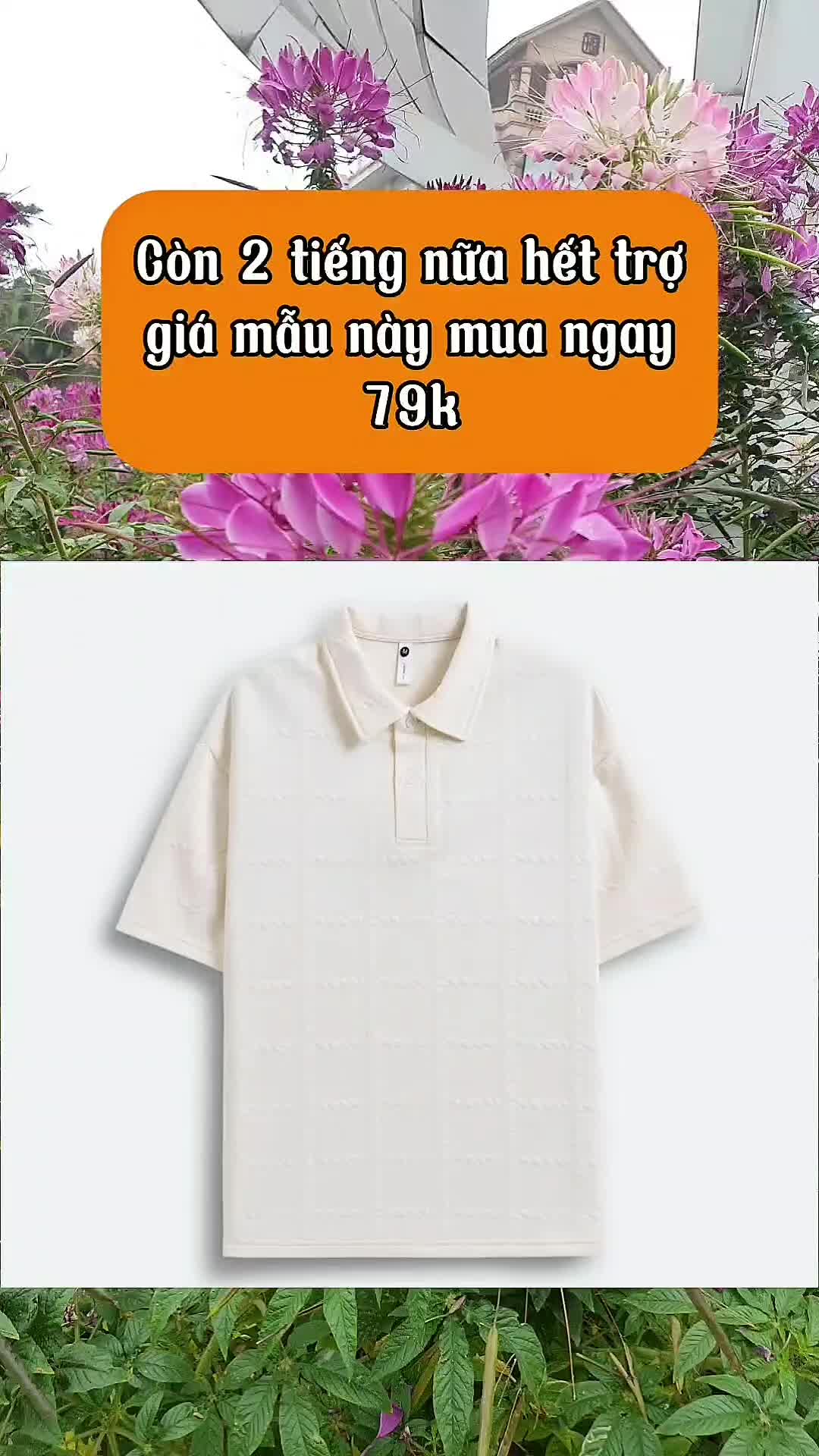 Combo 2 Áo Polo Vải Thun xốp#fashiontiktok #hot #xuhuong #xuhuong2025 #2025 #hottrend #thoitrang #bichthaoshop79 #aopolo #aopolonam #aothun #aothunnam 