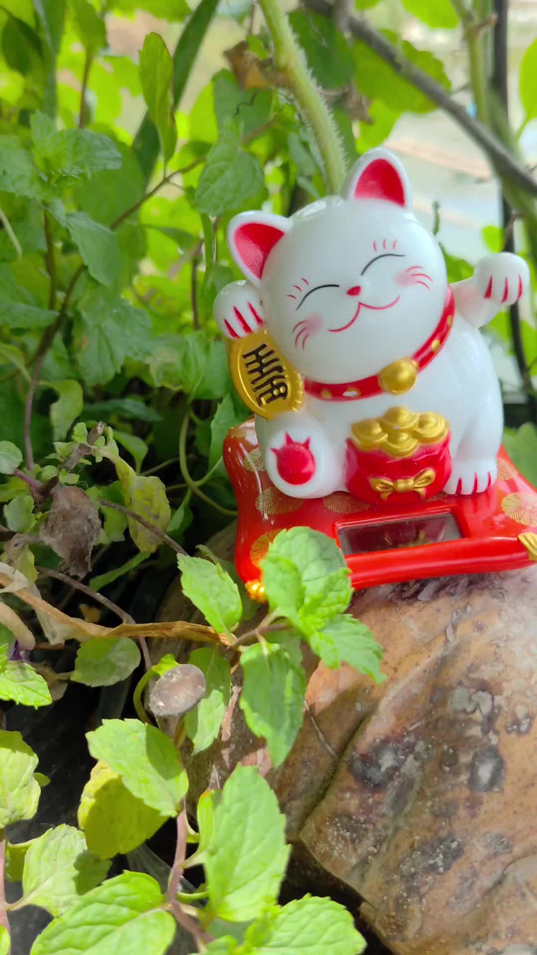 Mèo May Mắn Maneki Neko,#meo #meothantai #giadung #metina797 